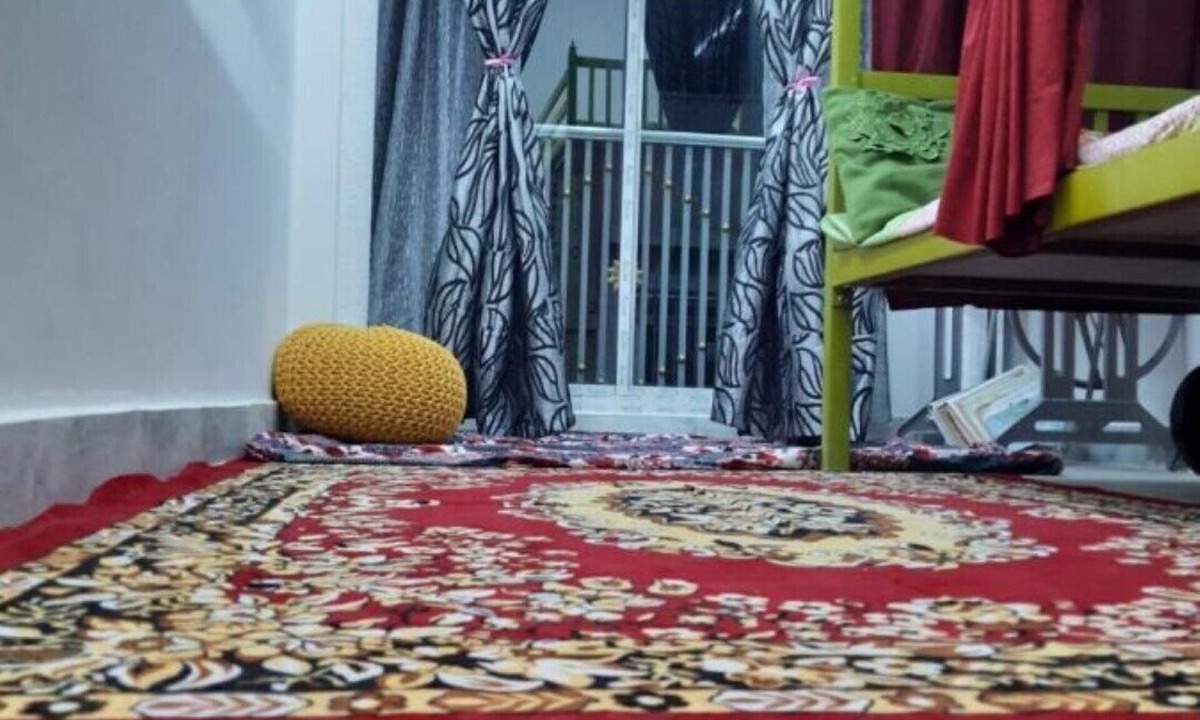 Pink City House | ALI BABA HOSTEL
