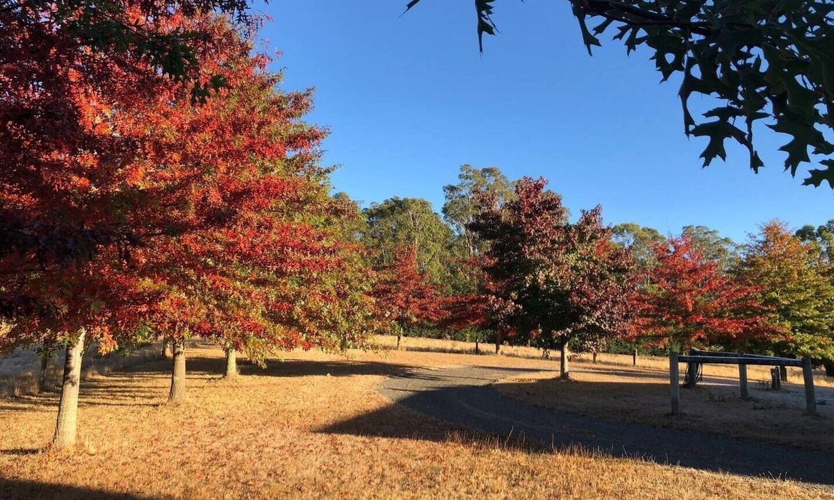 Bullengarook House | Greenacres - Relaxing Escape in the Macedon Ranges