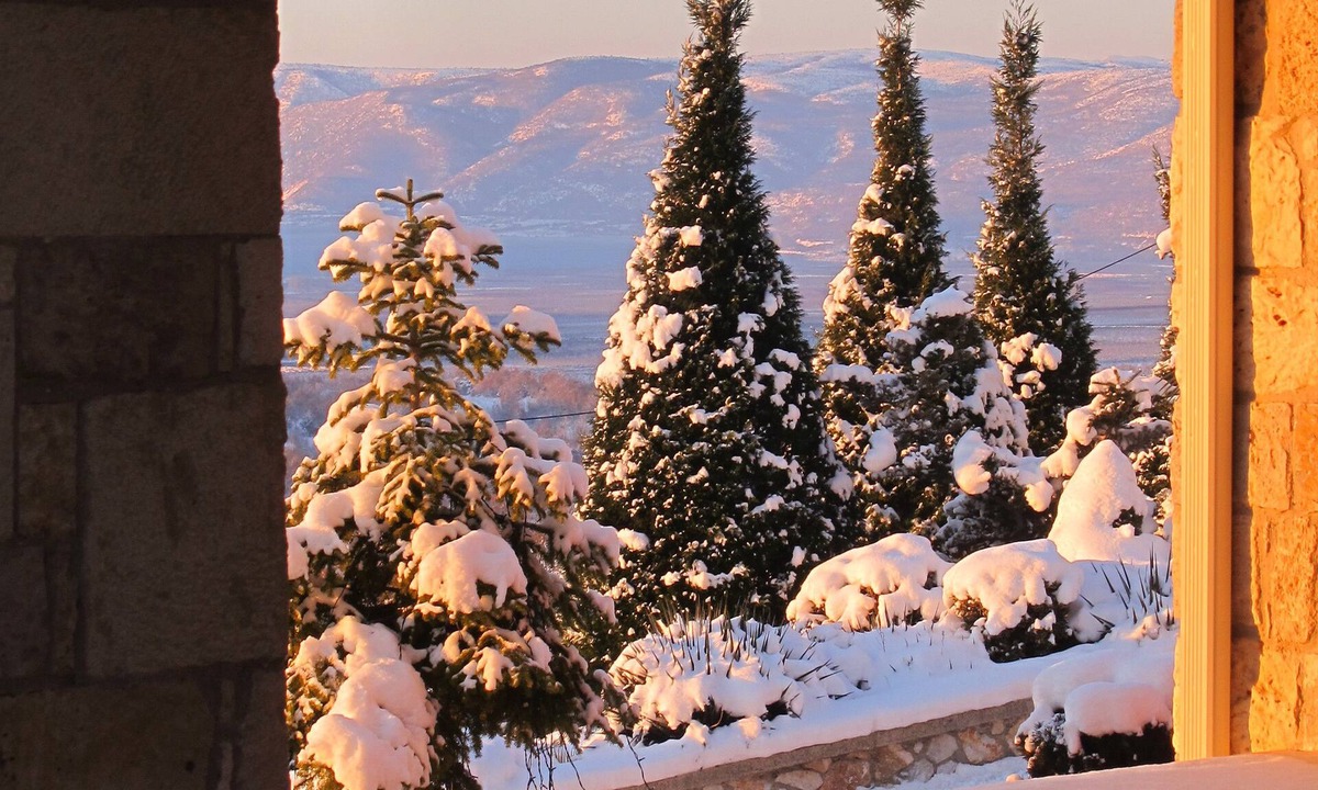 Panagitsa Hotel | Leventis Art Suites