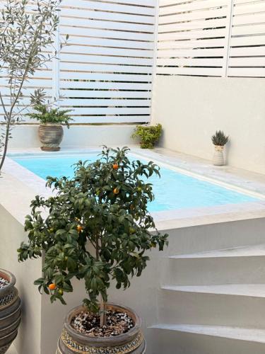Mikrolimano Apartment | Myronos suite with jacuzzi