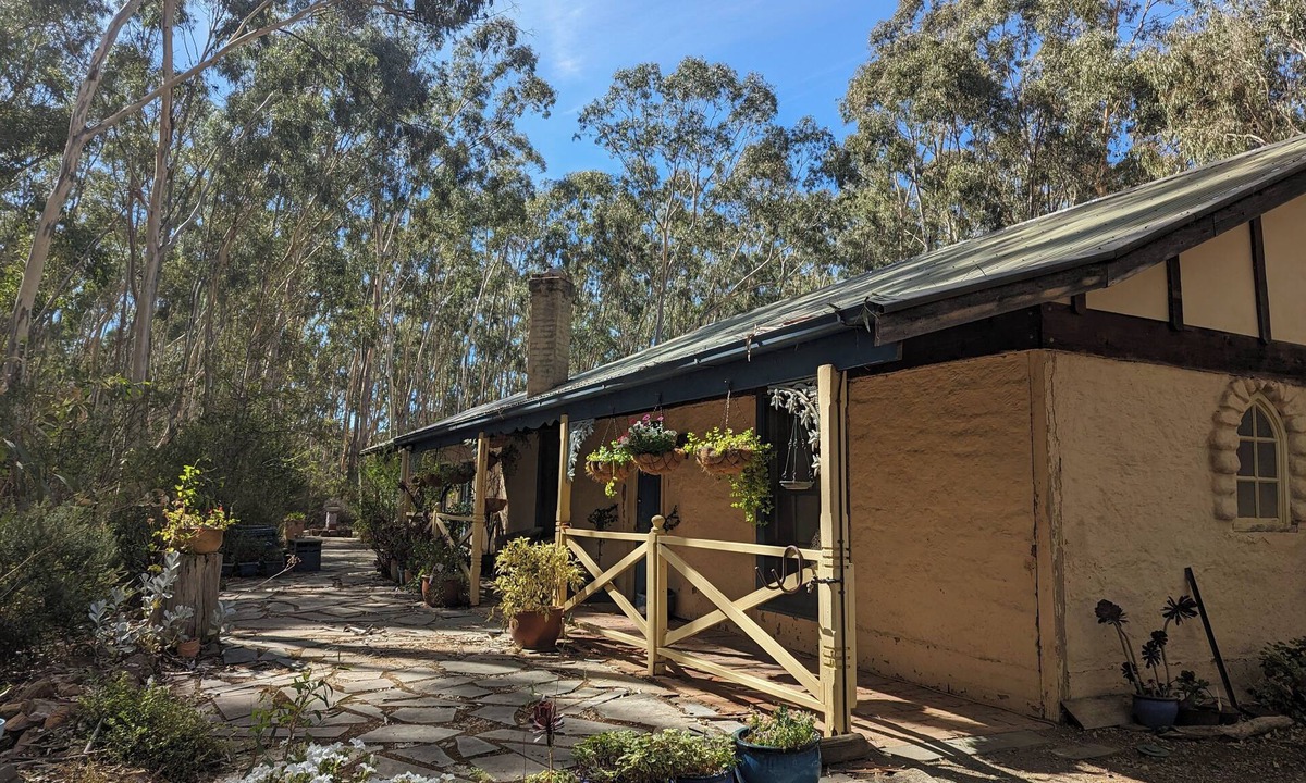 Stanley Flat Bed & Breakfast | Peppertree Corner, Clare Valley - Dog Heaven!