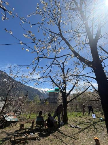 Old Manali Hostel | Raahi Roots