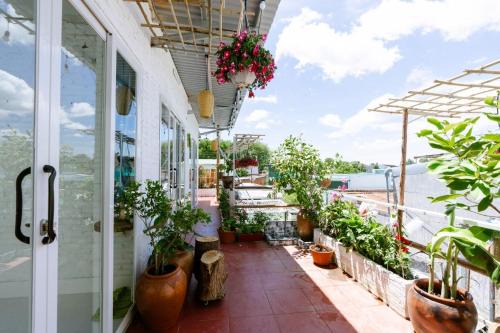 Phan Rang - Thap Cham Hotel | The peace home