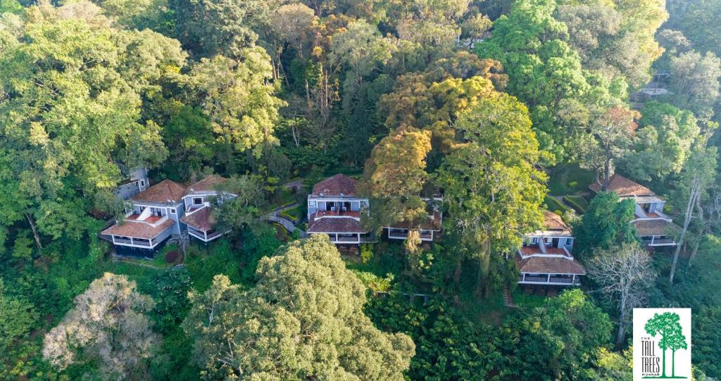 Devikolam Resort | The Tall Trees