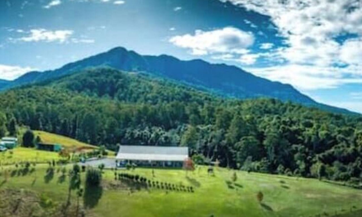 Thora House | The Tree House