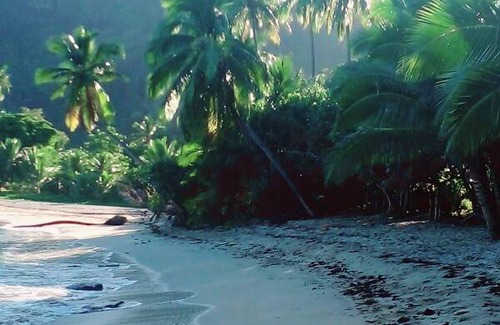 Waya Island Resort | Private room ∙ 1 guest