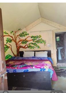 Katra Hostel | Classic hostel