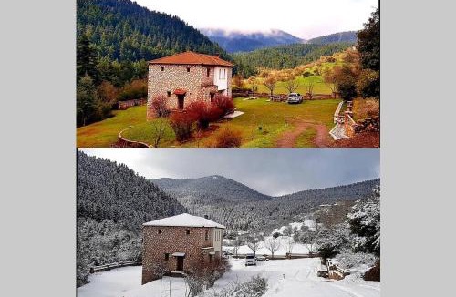 Vlacherna Ski Chalet | Elati Hills