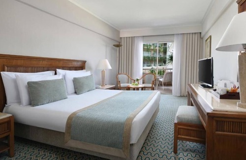 Luxor Hotel | Explore Egypt’s Treasures in Vibrant Private Space Near Luxor Temple and Museum