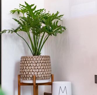 Ngo Quyen Apartment | Hapi Home