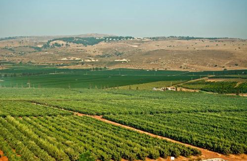Ramot Naftali Cabin | Nofesh Baharim