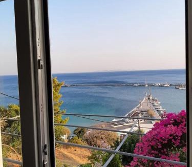 Pythagorio Hotel | OLYMPIADA view 2