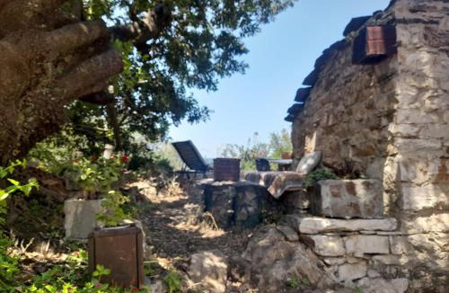 Ikaria Cabin | Stoneworld