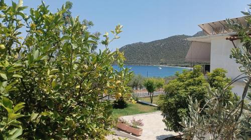 Paralia Apartment | Studios Zaritsi