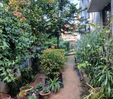 Bhubaneshwar House | The Basic