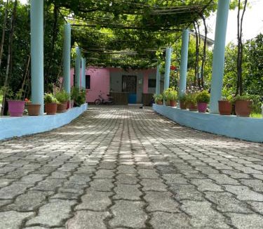 Otllak House | Villa Mance