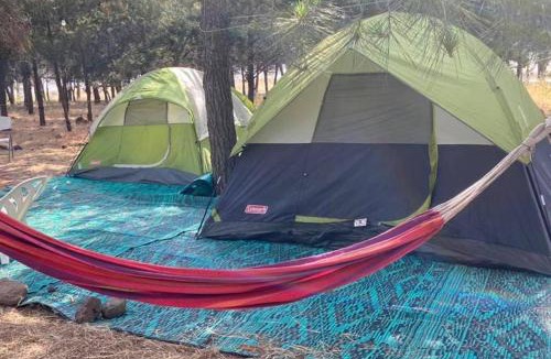 Qatsrin Other | Yurt