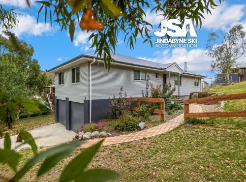 Banksia 15