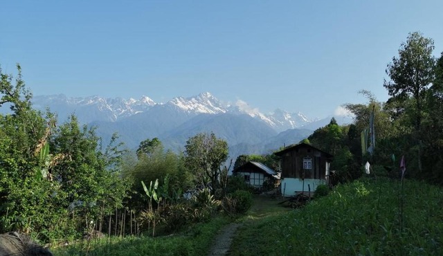 Himalayan Viewpoint