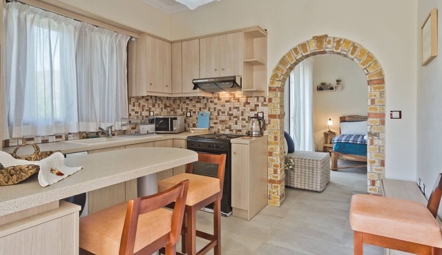 Olive Studios Karpathos Studio #1