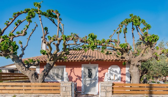 Olive Tree House …..
