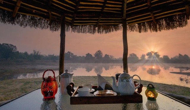 Pench Jungle Camp