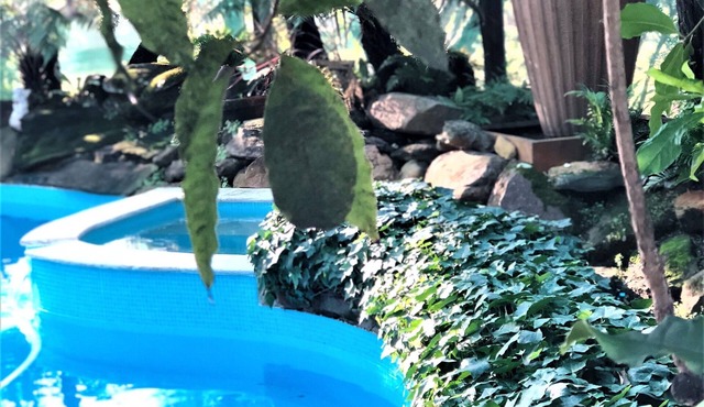 Private Suite in Resort Estate: pool/spa/tennis/billiards/fireplace/sauna/cellar