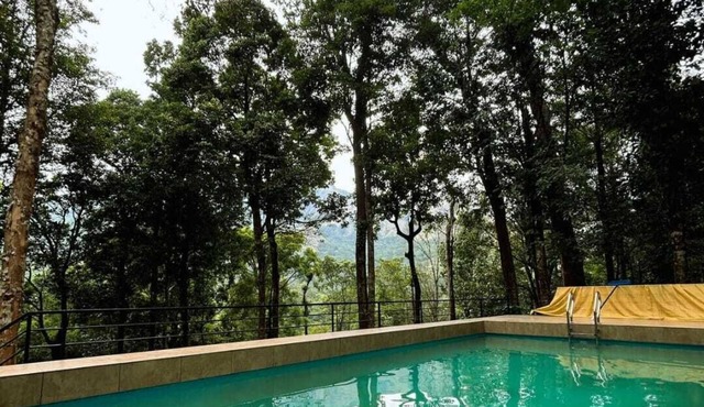 Skyfall Adventures Forest Pool Resort in Vythiri