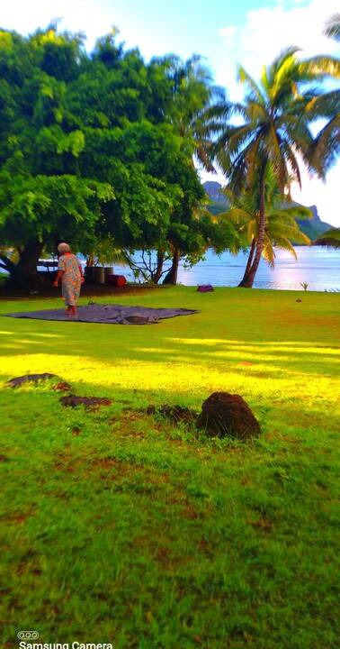 Photo of Others in Waya Island