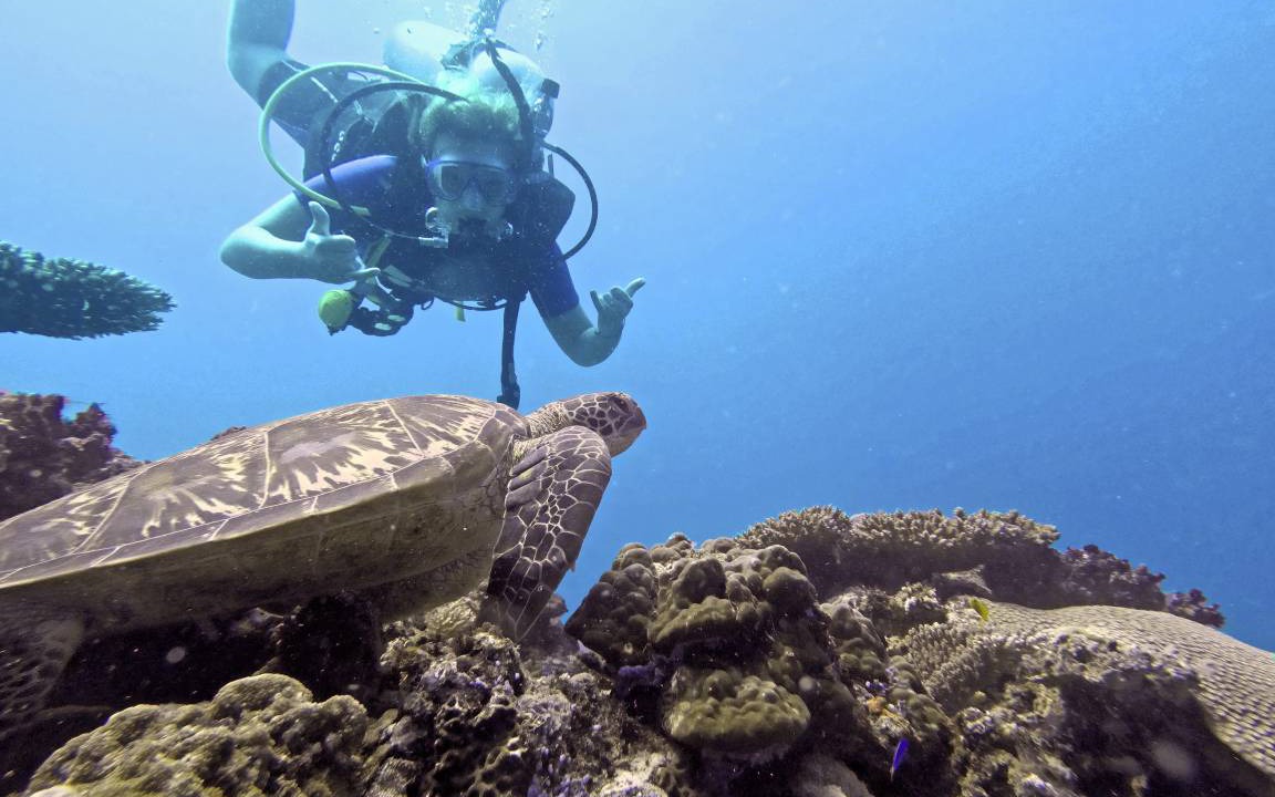 Photo of Others in Naukacuvu Island