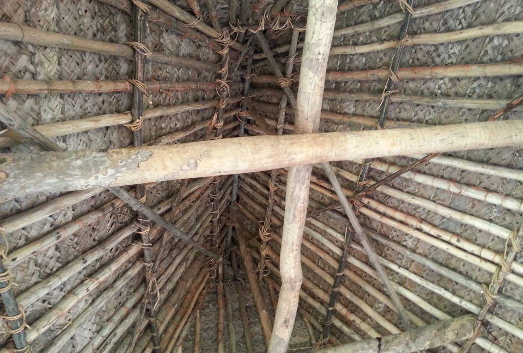 Photo of Others in Nacula Island