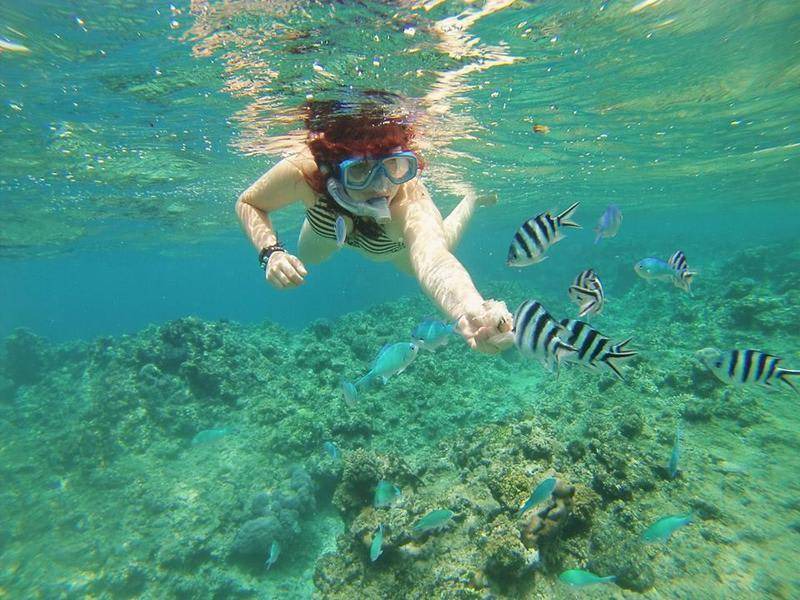 Photo of Others in Wayasewa Island