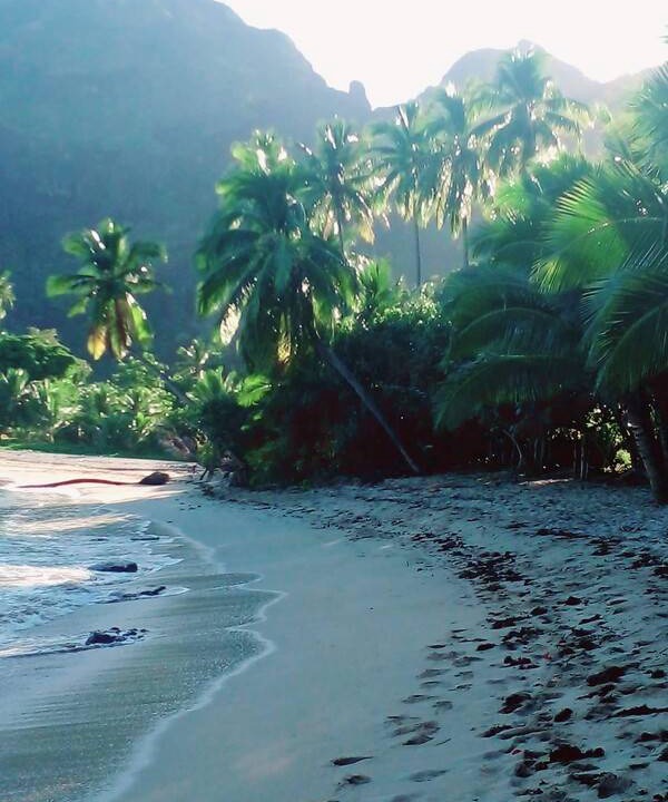 Photo of Others in Waya Island