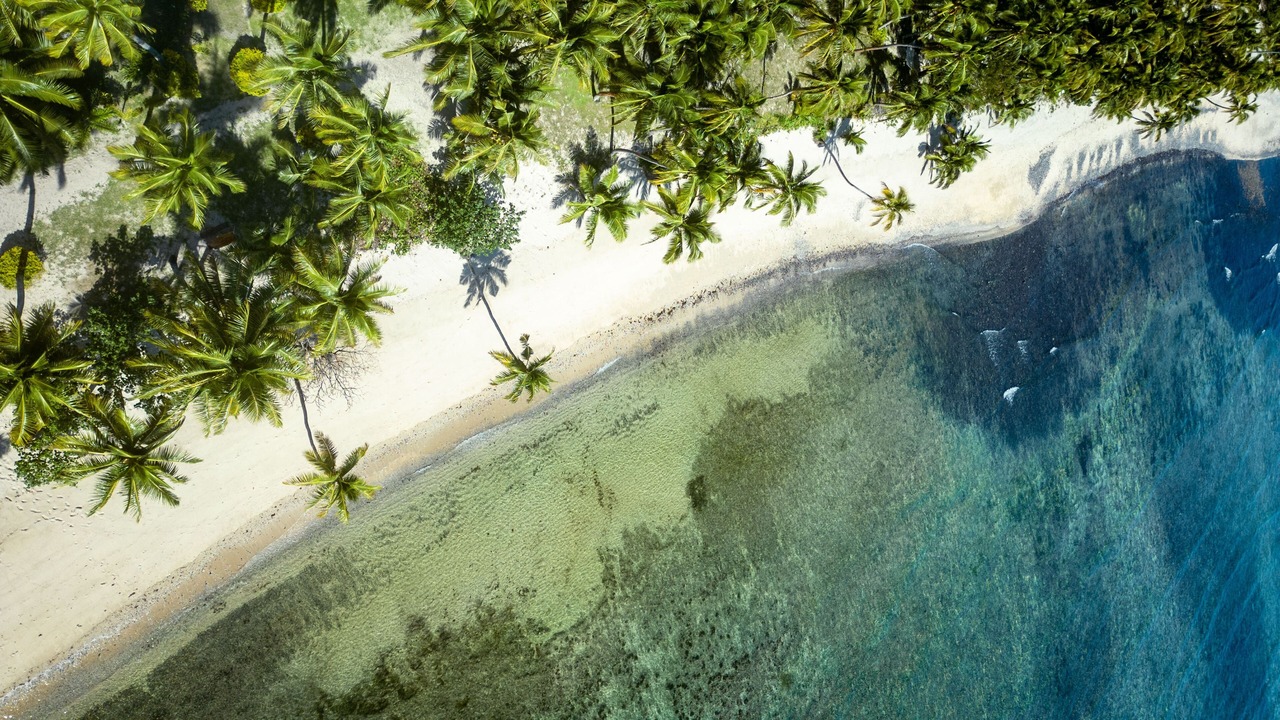 Photo of Others in Waya Island