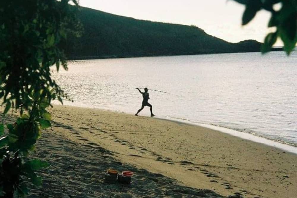 Photo of Others in Naviti Island