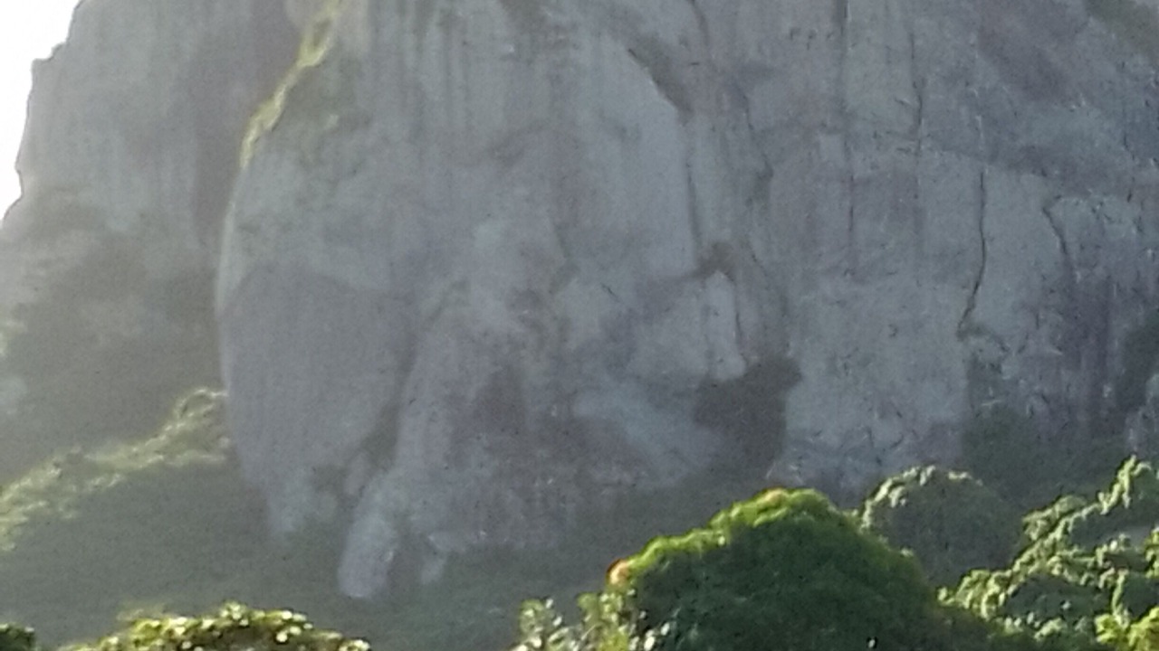 Photo of Outdoor in Wayasewa Island