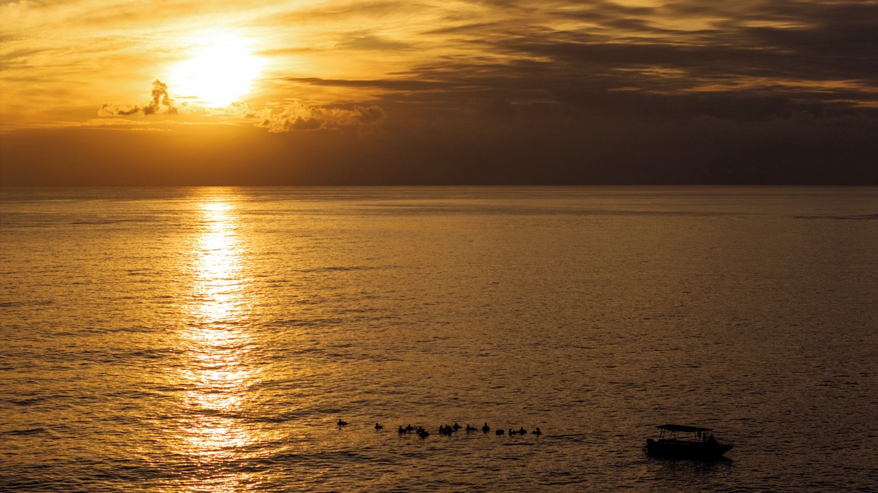 Photo of Others in Nanuya Balavu Island