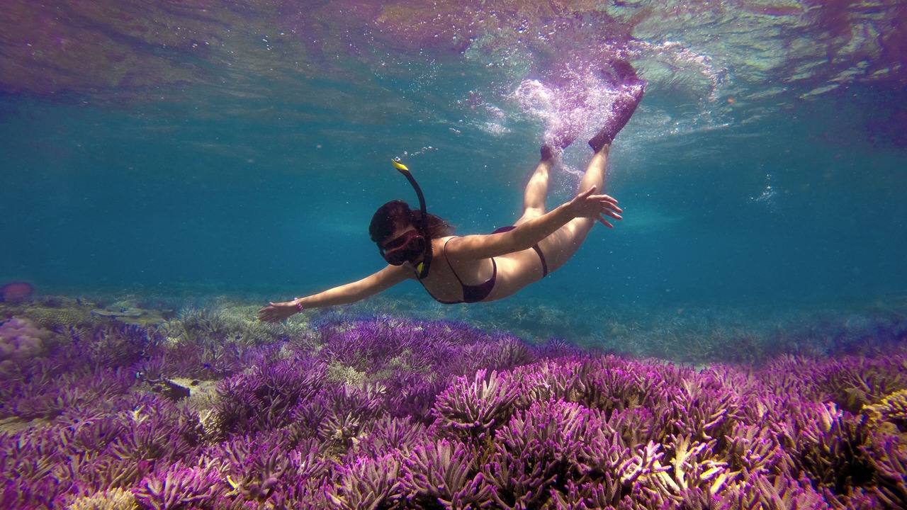 Photo of Outdoor in Nanuya Balavu Island