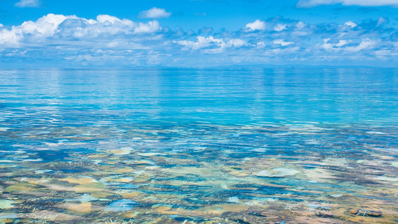 Photo of Others in Matayalevu