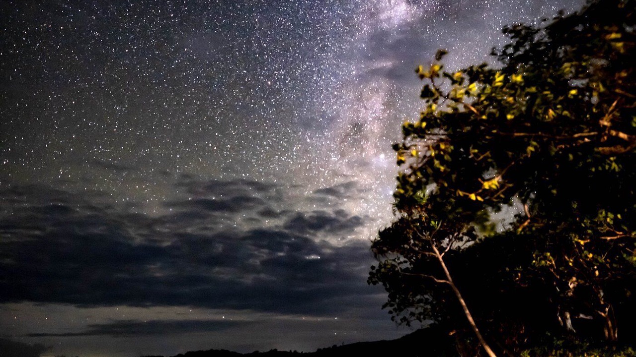 Photo of Outdoor in Tavewa Island