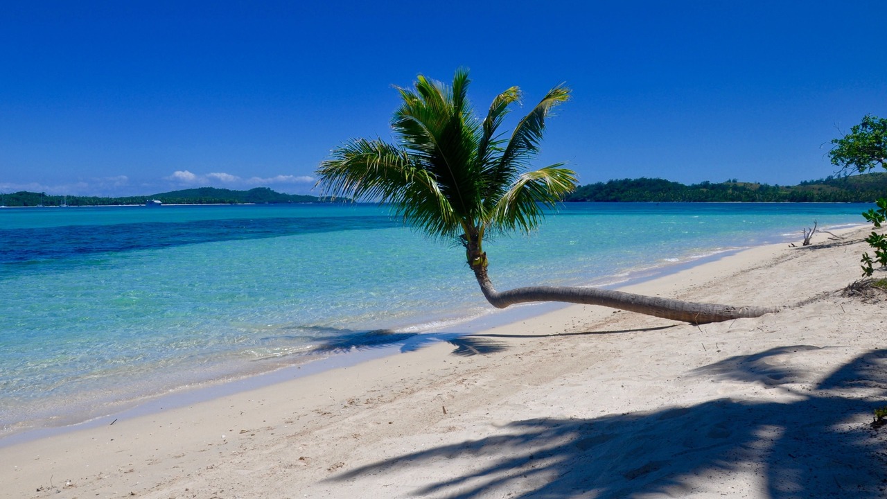 Photo of Outdoor in Tavewa Island