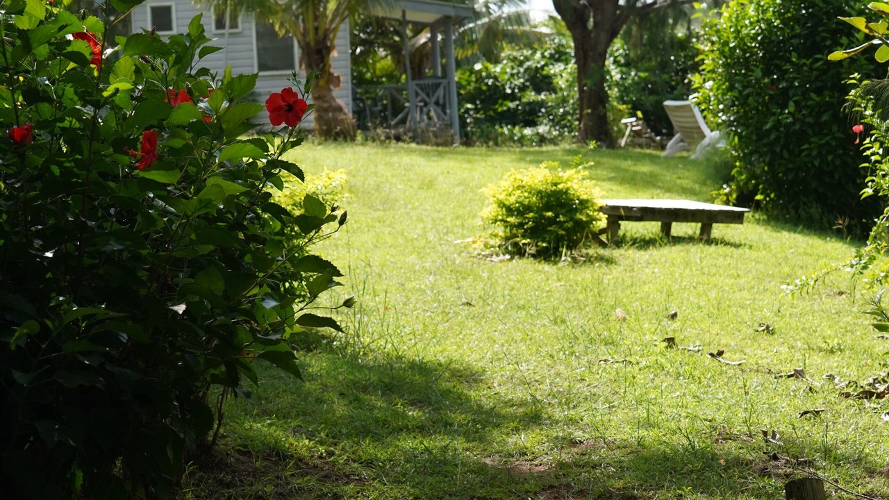 Photo of Outdoor in Matathawa Island