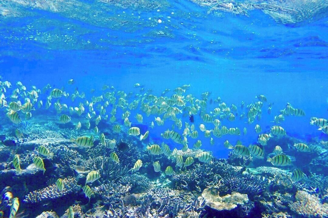 Photo of Others in Naviti Island