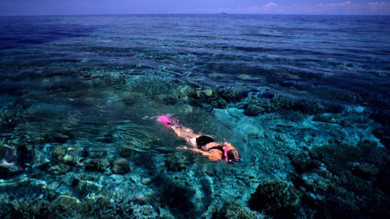 Photo of Others in Yasawa Island