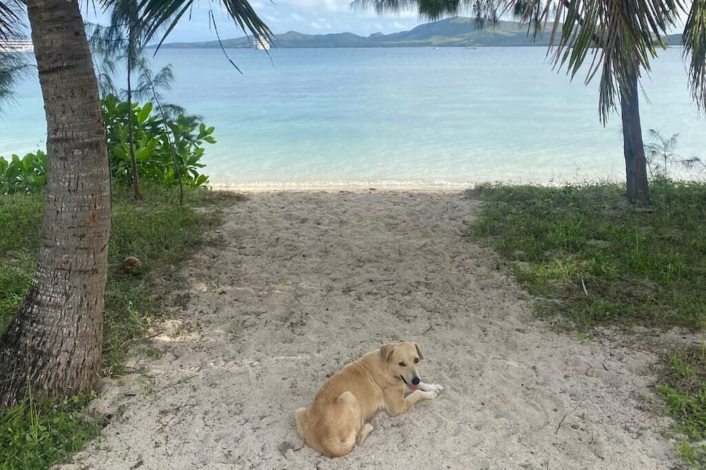 Photo of Others in Yasawa Island