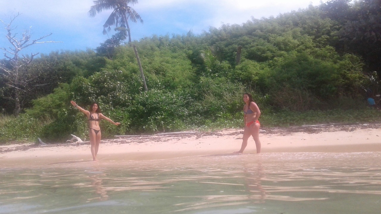 Photo of Others in Wayasewa Island