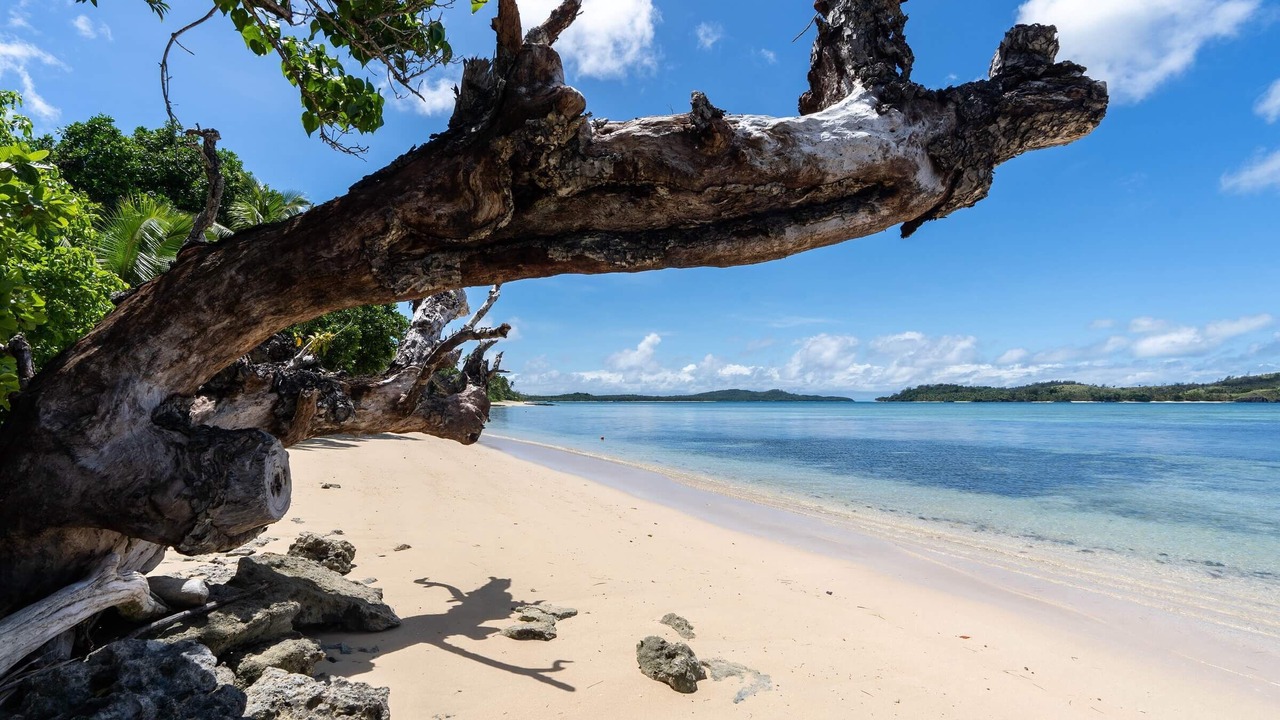 Photo of Others in Tavewa Island