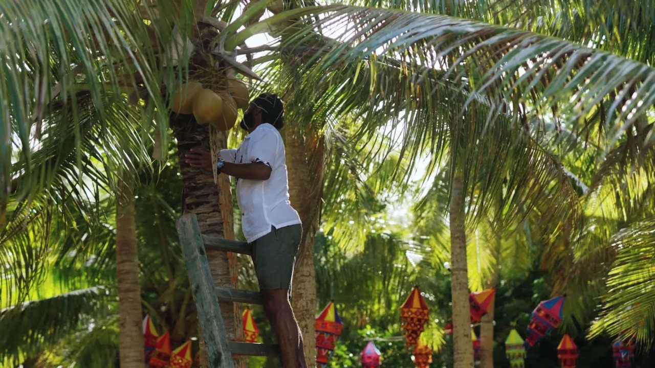 Photo of Others in Yasawa Island