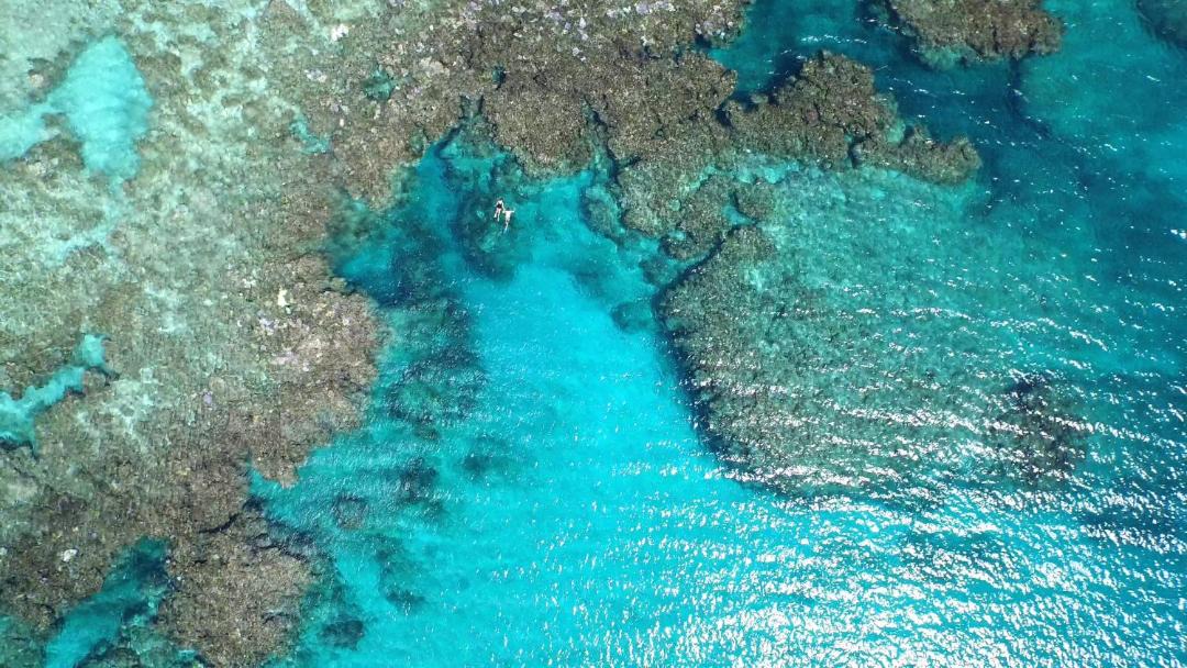 Photo of Others in Yasawa Island