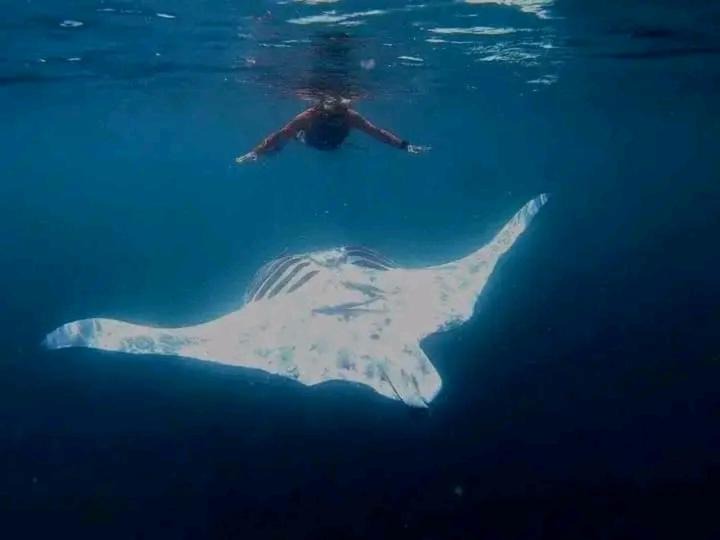 Photo of Others in Naviti Island